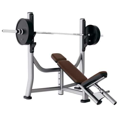 CYBEX OLYMPIC INCLINE BENCH – USED