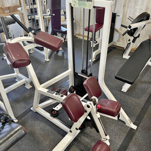 Flex Fitness Hamflexor Kneeling Leg Curl ISO