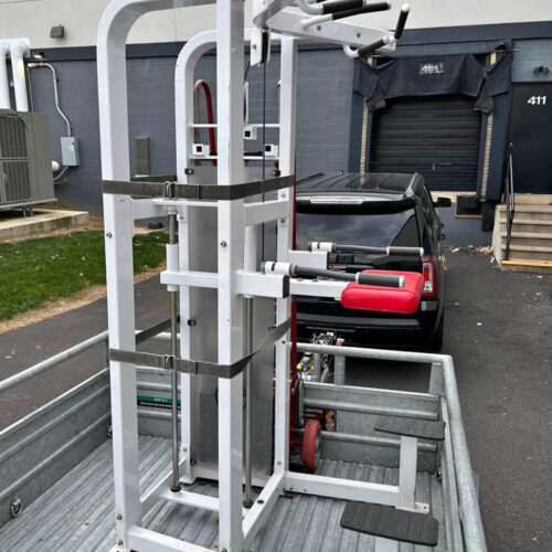 life fitness assisted chin dip