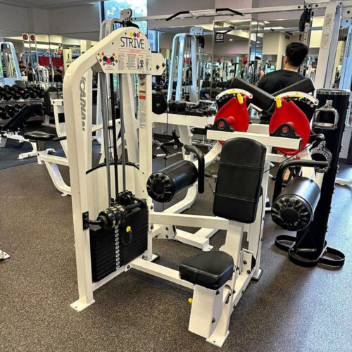 Strive  Lateral Raise