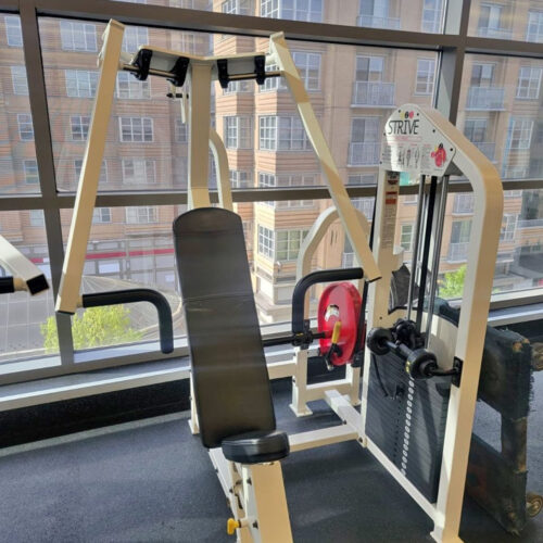 Strive  Chest Press