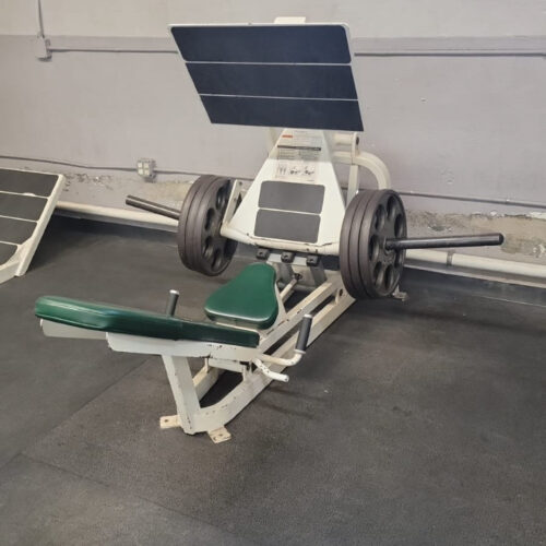 Cybex Squat Press Plate Loaded.