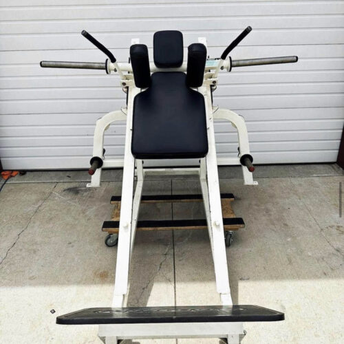 Star trac / FLEX Hack Squat