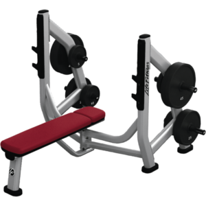 LIFE FITNESS SIGNATURE SERIES OLYMPIC BENCH WEIGHT STORAGE (ADDED STORAGE ONLY)