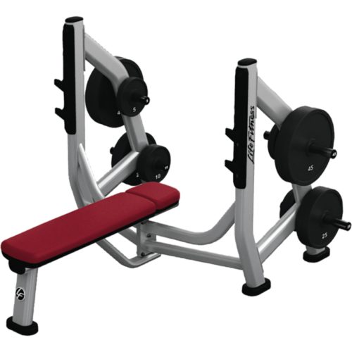 LIFE FITNESS SIGNATURE SERIES OLYMPIC BENCH WEIGHT STORAGE (ADDED STORAGE ONLY)